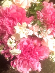 image1.jpeg